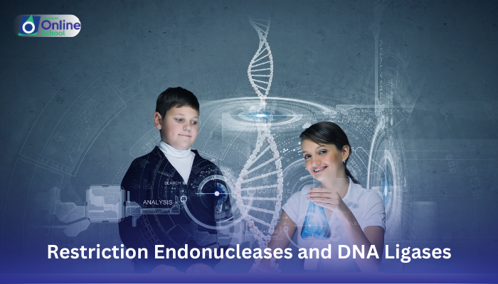 Lesson 03: Explaining Restriction Endonucleases and DNA Ligases